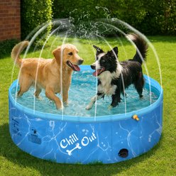 allforpaws Chill Out Sprinking 2-in-1 Dog Swimming Pool, Blue, Medium
