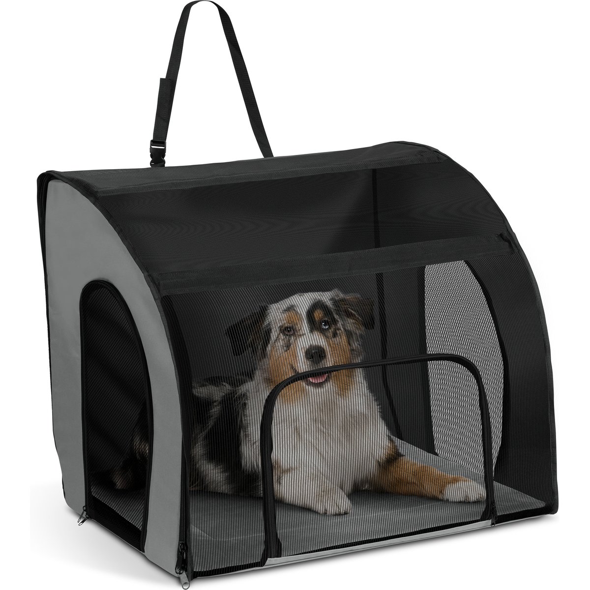 K&H Pet Products Travel Safety Pet Carrier, Gray/Black, Large