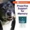 Show in main carousel: Dr. Bill's Pet Nutrition Canine Cognitive Support Brain & Nervous System Senior Dog Supplement Powder, 180-gm pouch slide 10 of 12