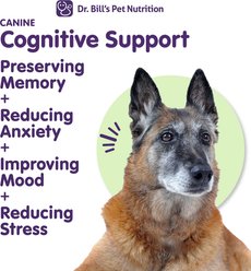Dr. Bill's Pet Nutrition Canine Cognitive Support Brain & Nervous System Senior Dog Supplement Powder, 180-gm pouch slide 2 of 9