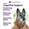 Show in main carousel: Dr. Bill's Pet Nutrition Canine Cognitive Support Brain & Nervous System Senior Dog Supplement Powder, 180-gm pouch slide 3 of 12