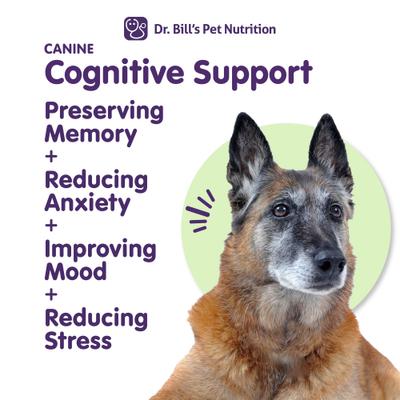 Show full view: Dr. Bill's Pet Nutrition Canine Cognitive Support Brain & Nervous System Senior Dog Supplement Powder, 180-gm pouch slide 3 of 12