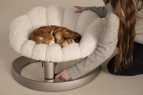 Show full view: Tavo Pets Shell Swaying Lounger Dog & Cat Bed, Latte slide 6 of 9