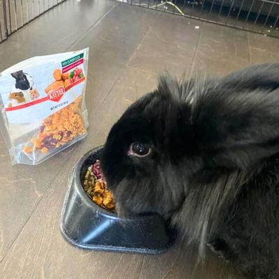 Show full view: Kaytee Natural Snack with Superfoods Sweet Potato & Cranberry Blend Small Pet Treats, 3-oz bag slide 7 of 9