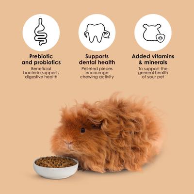 Show full view: Kaytee Timothy Complete Guinea Pig Food, 9.5-lb bag slide 7 of 13