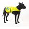 Show in main carousel: SafetyPUP XD Urban Reflective Dog Vest, Yellow, Medium slide 4 of 10