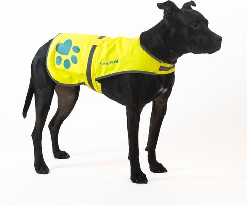 Show full view: SafetyPUP XD Urban Reflective Dog Vest, Yellow, Medium slide 4 of 10