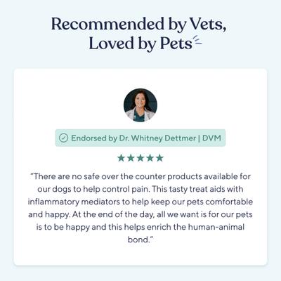 Show full view: Pawfy Pain Management Bacon Flavor Chews Dog Supplement, 30 count slide 8 of 9