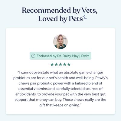 Show full view: Pawfy Probiotic Chicken Flavor Chews Dog Supplement, 30 count slide 8 of 9