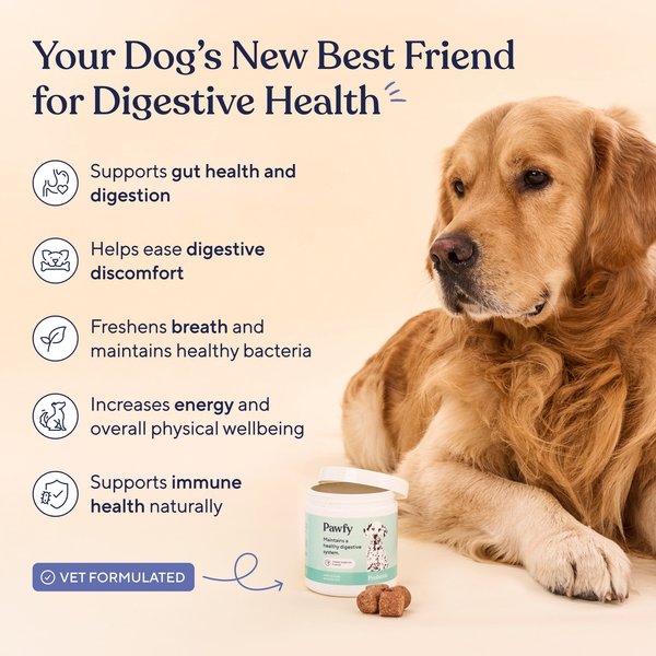 Show full view: Pawfy Probiotic Chicken Flavor Chews Dog Supplement, 30 count slide 2 of 8