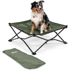 Coolaroo On The Go Cooling Elevated Dog Bed, Everglade Green, Medium