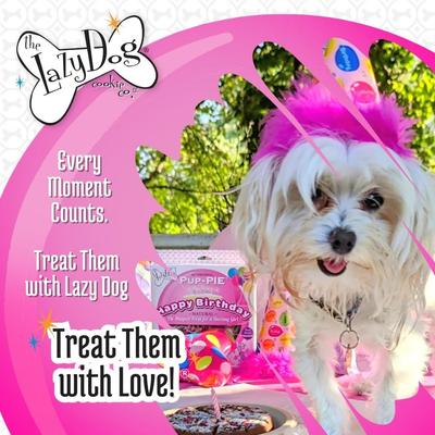 Show full view: The Lazy Dog Cookie Co. Happy Birthday Pup-PIE Dog Treat, Girl slide 8 of 10