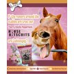 Show in main carousel: The Lazy Dog Cookie Co. Horse Bitscuits Cherry Vanilla Peppermint Horse Treat, 14-oz bag slide 7 of 8