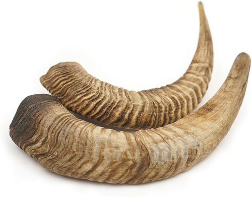 Show full view: EYS Herders Choice 8 to 10-inch Goat Horn Dog Chew, 2 count slide 3 of 5