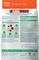 Feline Natural New Zealand Lamb Feast Grain-Free Freeze-Dried Cat Food, 11-oz bag slide 2 of 8