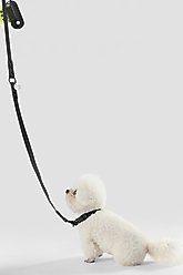 THE LICKER STORE Luna Hands-Free Dog Leash & Collar, Black, Small: 9.5 to 14.1-in neck, 3/5-in wide slide 2 of 7