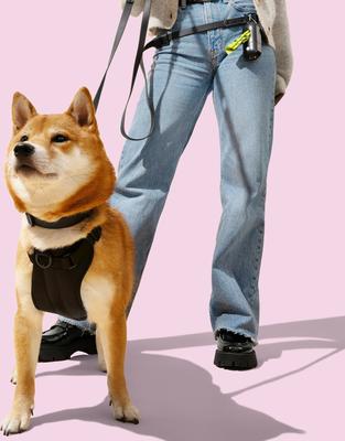 Show full view: THE LICKER STORE Arlo No Pull Dog & Cat Harness, Black, X-Small: 11.8 to 17-in chest slide 3 of 12