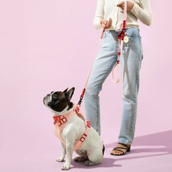 THE LICKER STORE Luna Hands-Free Dog Leash & Collar, Pink/Red, Medium: 11.8 to 18.50-in neck, 3/4-in wide slide 2 of 7