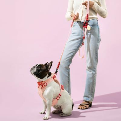 Show full view: THE LICKER STORE Arlo No Pull Dog & Cat Harness, Pink, Medium: 18 to 28-in chest slide 2 of 11