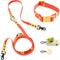 Show in main carousel: THE LICKER STORE Luna Hands-Free Dog Leash & Collar, Dark Orange/Light Orange, Medium: 11.8 to 18.50-in neck, 3/4-in wide slide 1 of 10