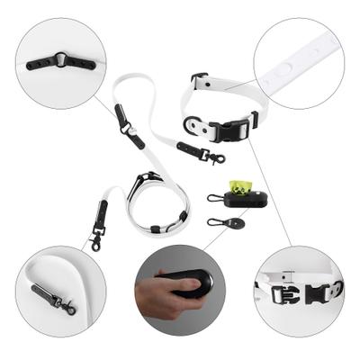 Show full view: THE LICKER STORE Luna Hands-Free Dog Leash & Collar, White/Black, Large: 15.3 to 24.8-in neck, 1-in wide slide 6 of 11
