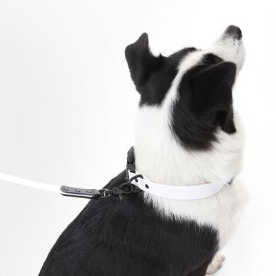 Show full view: THE LICKER STORE Luna Hands-Free Dog Leash & Collar, White/Black, Large: 15.3 to 24.8-in neck, 1-in wide slide 8 of 11