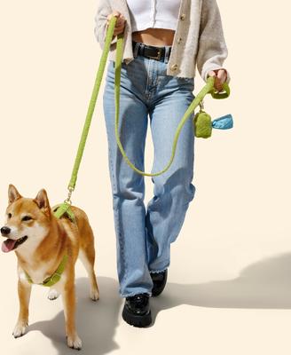 Show full view: THE LICKER STORE Teddy Adjustable Dog H Harness & Leash Set, Olive Green, Medium: 10.4 to 18-in neck slide 2 of 10