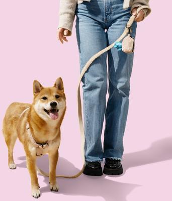 Show full view: THE LICKER STORE Teddy Adjustable Dog H Harness & Leash Set, Beige, Small: 7.3 to 13.4-in neck slide 2 of 10