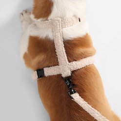 THE LICKER STORE Teddy Adjustable Dog H Harness & Leash Set, Beige, Medium: 10.4 to 18-in neck slide 2 of 8