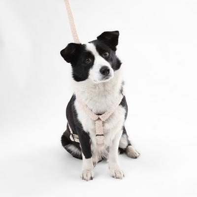 Show full view: THE LICKER STORE Teddy Adjustable Dog H Harness & Leash Set, Beige, Large: 15.3 to 24.5-in neck slide 6 of 10