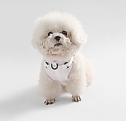 THE LICKER STORE Arlo No Pull Dog & Cat Harness, White, Small: 14 to 22-in chest slide 2 of 8