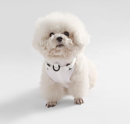Show full view: THE LICKER STORE Arlo No Pull Dog & Cat Harness, White, Small: 14 to 22-in chest slide 6 of 11