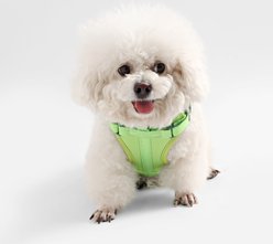 THE LICKER STORE Arlo No Pull Dog & Cat Harness, Light Green, X-Small: 11.8 to 17-in chest slide 2 of 8