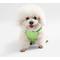 Show in main carousel: THE LICKER STORE Arlo No Pull Dog & Cat Harness, Light Green, X-Small: 11.8 to 17-in chest slide 6 of 11
