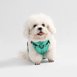 THE LICKER STORE Arlo No Pull Dog & Cat Harness, Emerald, Small: 14 to 22-in chest slide 2 of 8