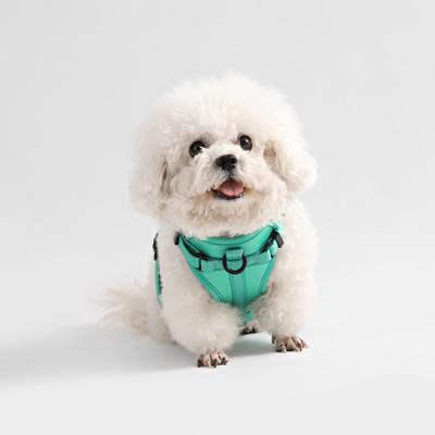 Show full view: THE LICKER STORE Arlo No Pull Dog & Cat Harness, Emerald, Small: 14 to 22-in chest slide 6 of 11