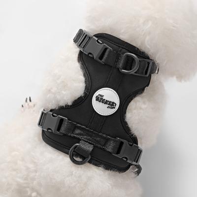 Show full view: THE LICKER STORE Arlo No Pull Dog & Cat Harness, Black, X-Small: 11.8 to 17-in chest slide 9 of 12
