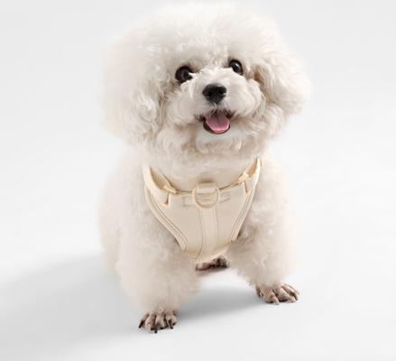 Show full view: THE LICKER STORE Arlo No Pull Dog & Cat Harness, Almond, X-Small: 11.8 to 17-in chest slide 6 of 11