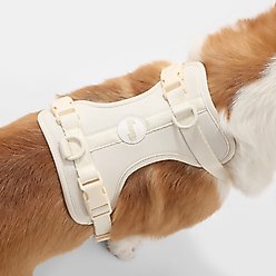 THE LICKER STORE Arlo No Pull Dog & Cat Harness, Almond, Medium: 18 to 28-in chest slide 2 of 8
