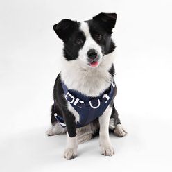 THE LICKER STORE Arlo No Pull Dog & Cat Harness, Navy, Large: 24 to 37-in chest slide 2 of 8