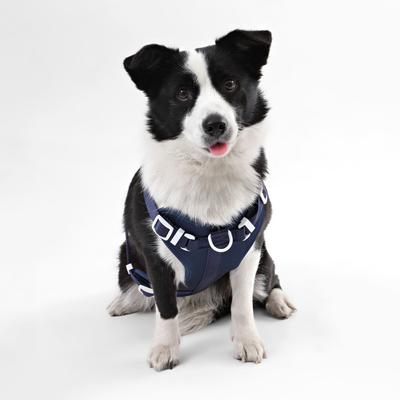 Show full view: THE LICKER STORE Arlo No Pull Dog & Cat Harness, Navy, Large: 24 to 37-in chest slide 6 of 11
