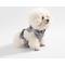 Show in main carousel: THE LICKER STORE Arlo No Pull Dog & Cat Harness, Gray, Small: 14 to 22-in chest slide 7 of 11