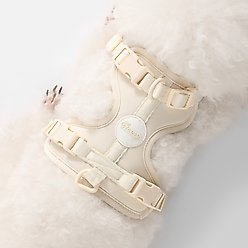 THE LICKER STORE Arlo No Pull Dog & Cat Harness, Almond, X-Small: 11.8 to 17-in chest slide 2 of 8