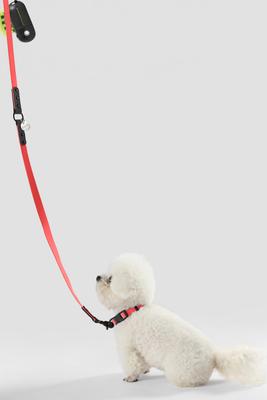 Show full view: THE LICKER STORE Luna Hands-Free Dog Leash & Collar, Red/Black, Small: 9.5 to 14.1-in neck, 3/5-in wide slide 7 of 11