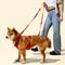 Show in main carousel: THE LICKER STORE Luna Hands-Free Dog Leash & Collar, Red/Black, Small: 9.5 to 14.1-in neck, 3/5-in wide slide 3 of 11