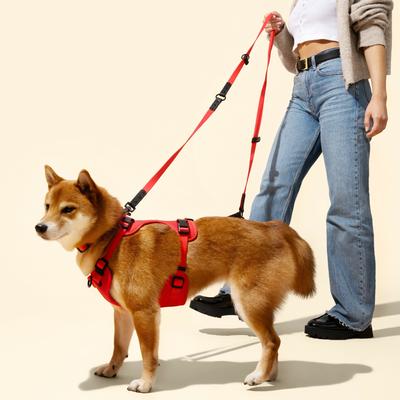 Show full view: THE LICKER STORE Luna Hands-Free Dog Leash & Collar, Red/Black, Small: 9.5 to 14.1-in neck, 3/5-in wide slide 3 of 11