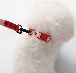THE LICKER STORE Luna Hands-Free Dog Leash & Collar, Pink/Red, Small: 9.5 to 14.1-in neck, 3/5-in wide slide 2 of 7
