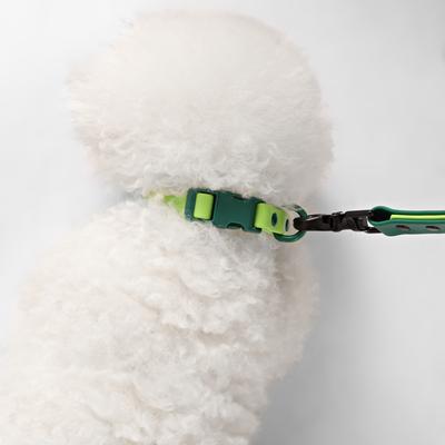 Show full view: THE LICKER STORE Luna Hands-Free Dog Leash & Collar, Light Green/Dark Green, Small: 9.5 to 14.1-in neck, 3/5-in wide slide 7 of 10