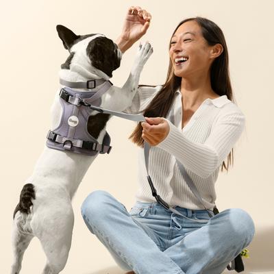 Show full view: THE LICKER STORE Arlo No Pull Dog & Cat Harness, Gray, Small: 14 to 22-in chest slide 2 of 11