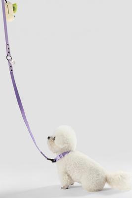 Show full view: THE LICKER STORE Luna Hands-Free Dog Leash & Collar, Purple/Light Purple, Small: 9.5 to 14.1-in neck, 3/5-in wide slide 7 of 11